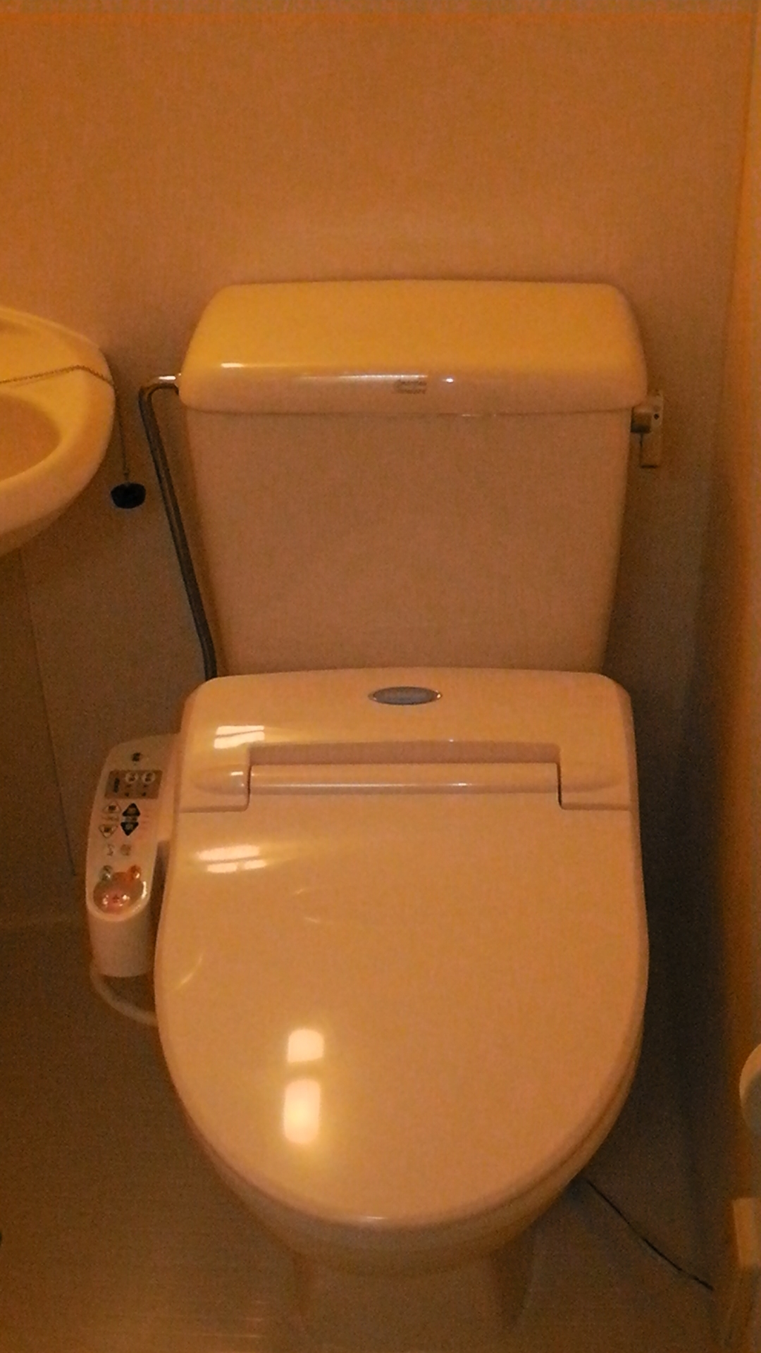 Toilet. With Washlet