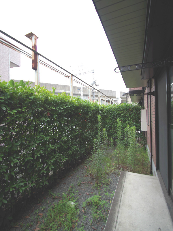 Garden. terrace