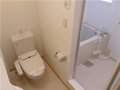 Washroom. Toilet is with a bidet. 