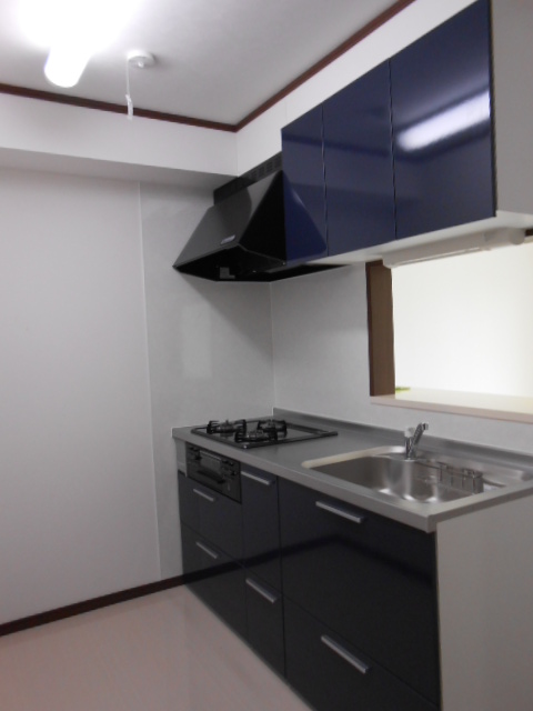 Kitchen. It is an image photo for the new construction. 