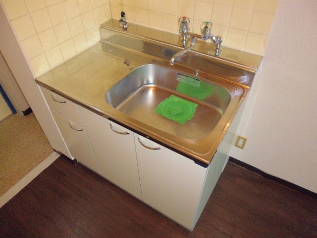 Kitchen. sink