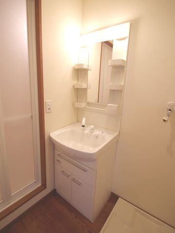 Washroom. Shower with separate wash basin