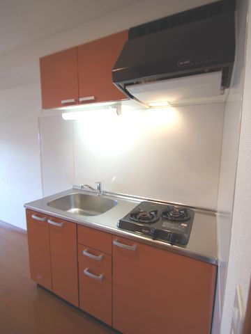 Kitchen. System kitchen 2 lot gas stoves also satisfaction towards the favorite dish