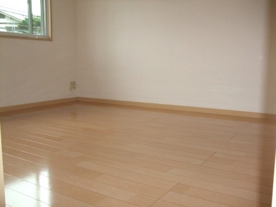 Other.  ☆ Flooring of the room ☆