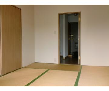 Living and room. Spacious calm Japanese-style room