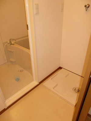 Washroom. Laundry Area