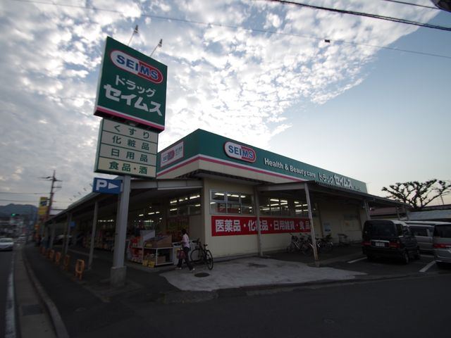 Dorakkusutoa. Drag Seimusu Nishiterakata shop 311m until (drugstore)