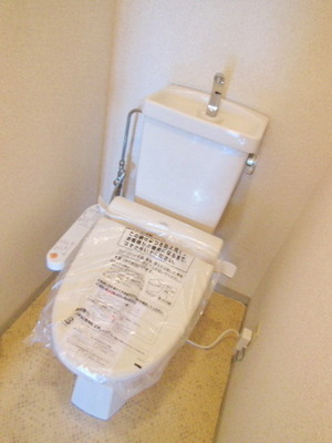 Toilet.  ☆ Loose your toilet ☆