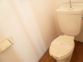 Toilet. Toilet floor is also a flooring