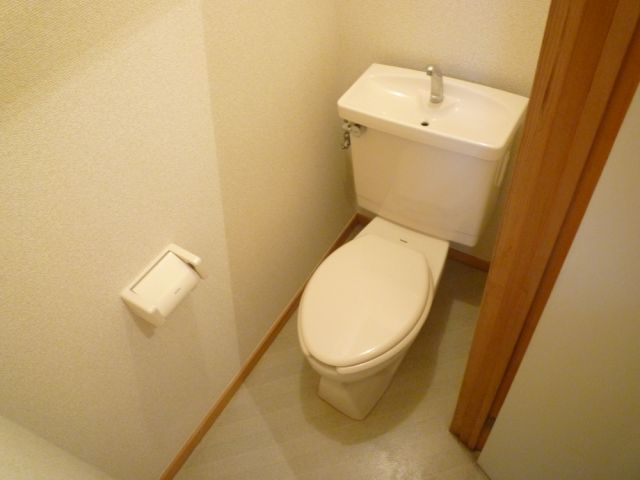 Toilet. This room there is a feeling of cleanliness.