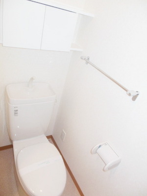 Toilet. Western-style toilet