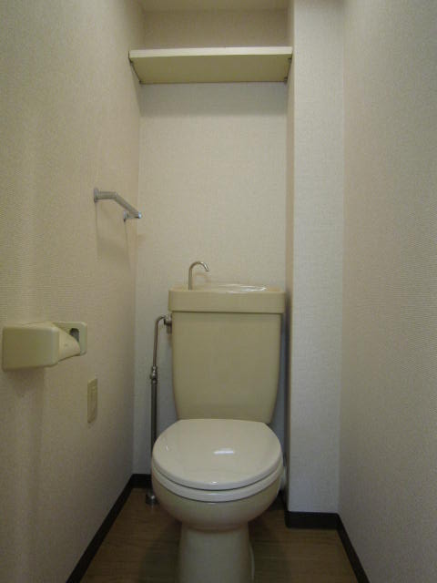 Toilet. Toilet with a shelf