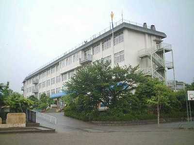 Primary school. 311m to Hachioji City Motoki elementary school (elementary school)