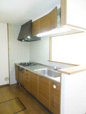 Kitchen. System kitchen