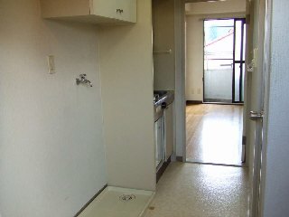 Living and room. Clean kitchen