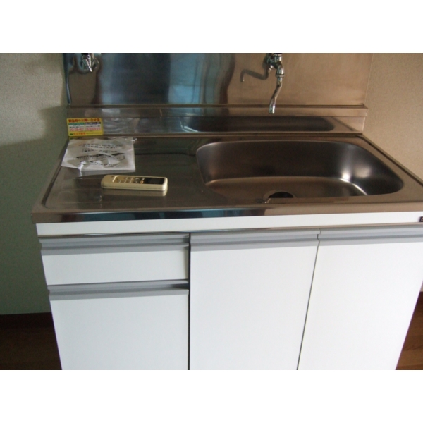 Kitchen. Neat in the door with storage space!