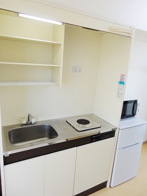 Kitchen. Microwave oven in the kitchen, Refrigerator is equipped