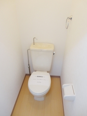 Toilet. Toilet