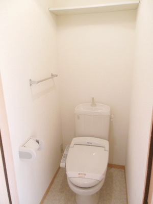 Toilet. Toilet space