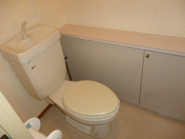 Toilet. Toilet with storage shelf. 