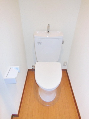 Toilet.  ☆ Spacious toilet ☆