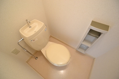 Other. Toilet