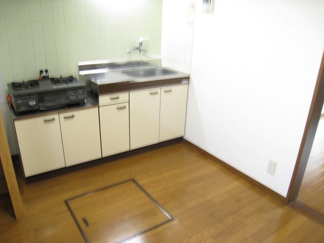 Kitchen. Gas stove in the kitchen