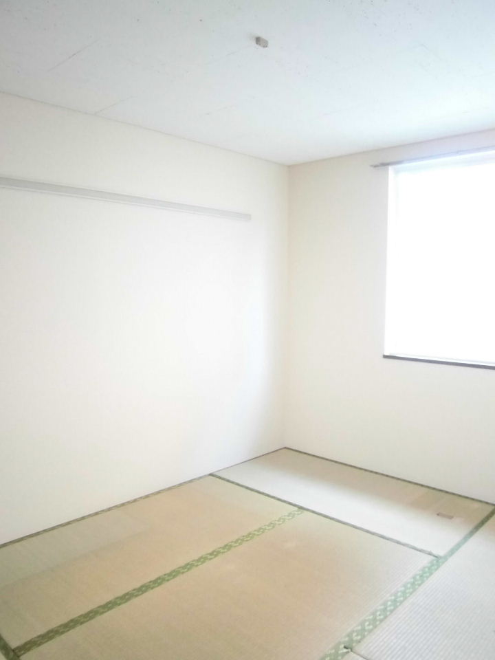 Other room space. Japanese style room