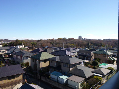 View. It is the north side of the view from the balcony.