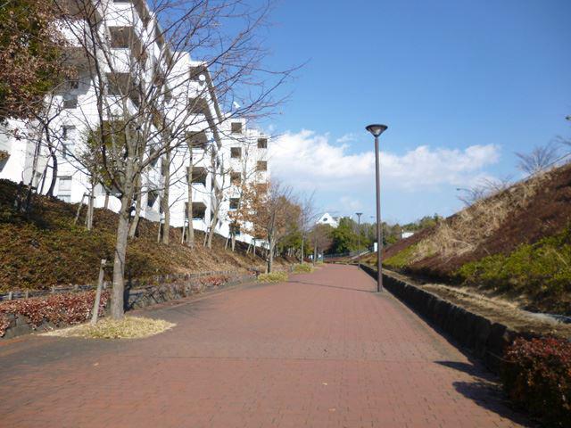 Other