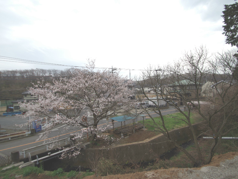 View. View from the second floor