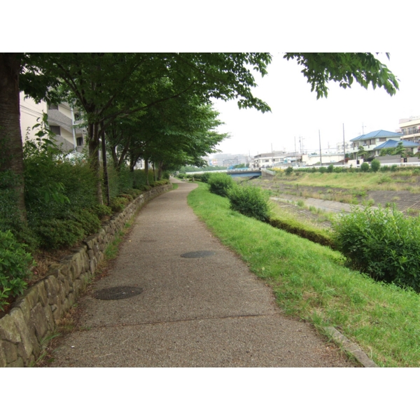 Other. It is a promenade along the river