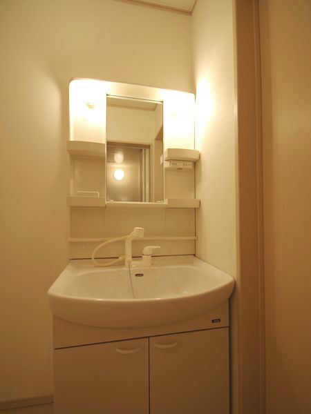 Washroom. Convenient Shampoo dresser! 