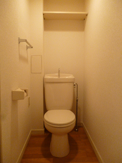 Toilet. It comes with a shelf on top of the toilet.