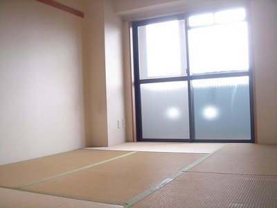 Living and room. Sunny Japanese-style room