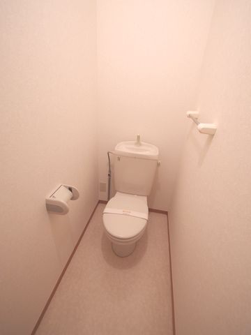 Toilet. These rooms of different building of the room number difference. (image)