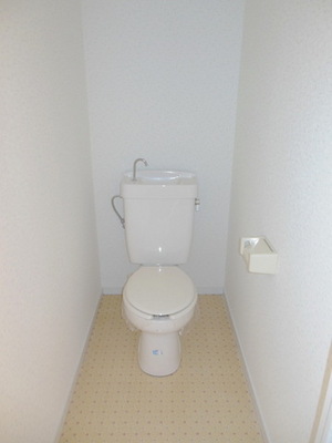 Toilet. Western-style toilet