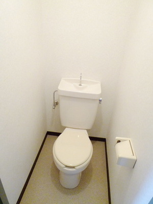 Toilet. Hot breath toilet space