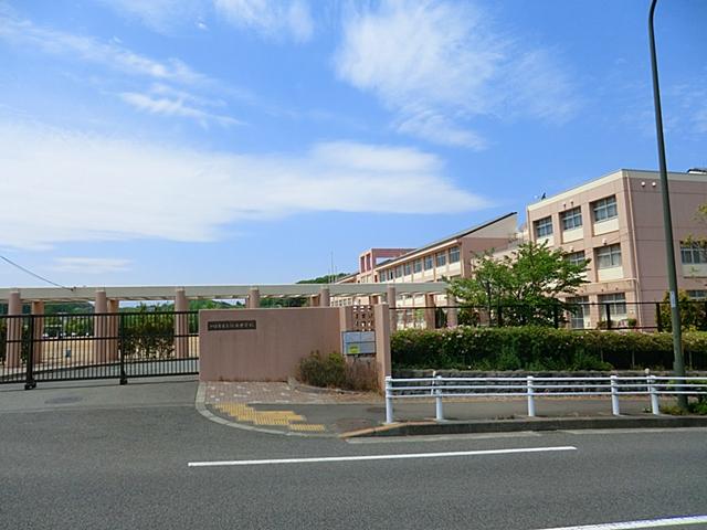 Junior high school. 1650m to Hachioji Municipal Yarimizu junior high school
