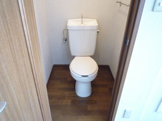 Toilet. Independent toilet