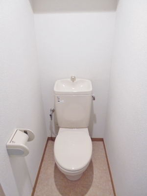 Toilet. Toilet