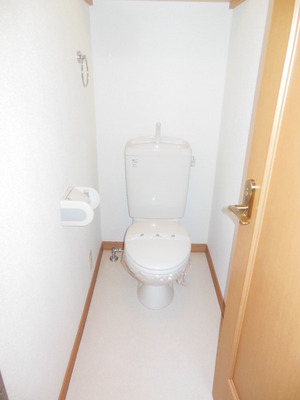 Toilet. Western-style toilet