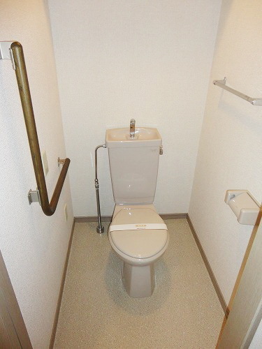 Toilet. Also it comes with a handrail