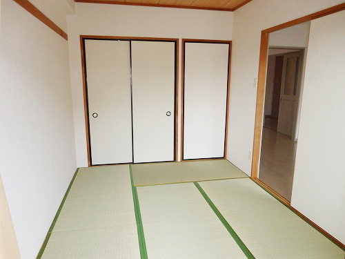 Other room space. Sunny Japanese-style