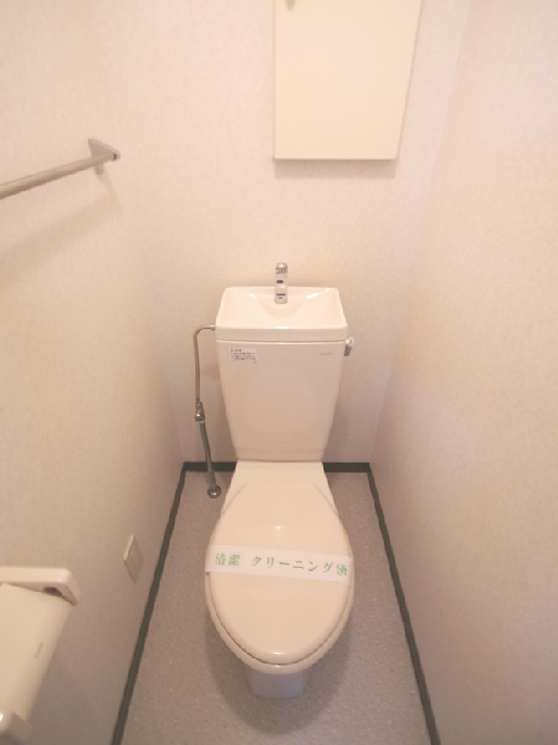 Toilet. Restroom, which is also storage space!