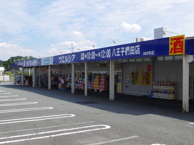 Dorakkusutoa. Uerushia Hachioji Kunugida shop 373m until (drugstore)