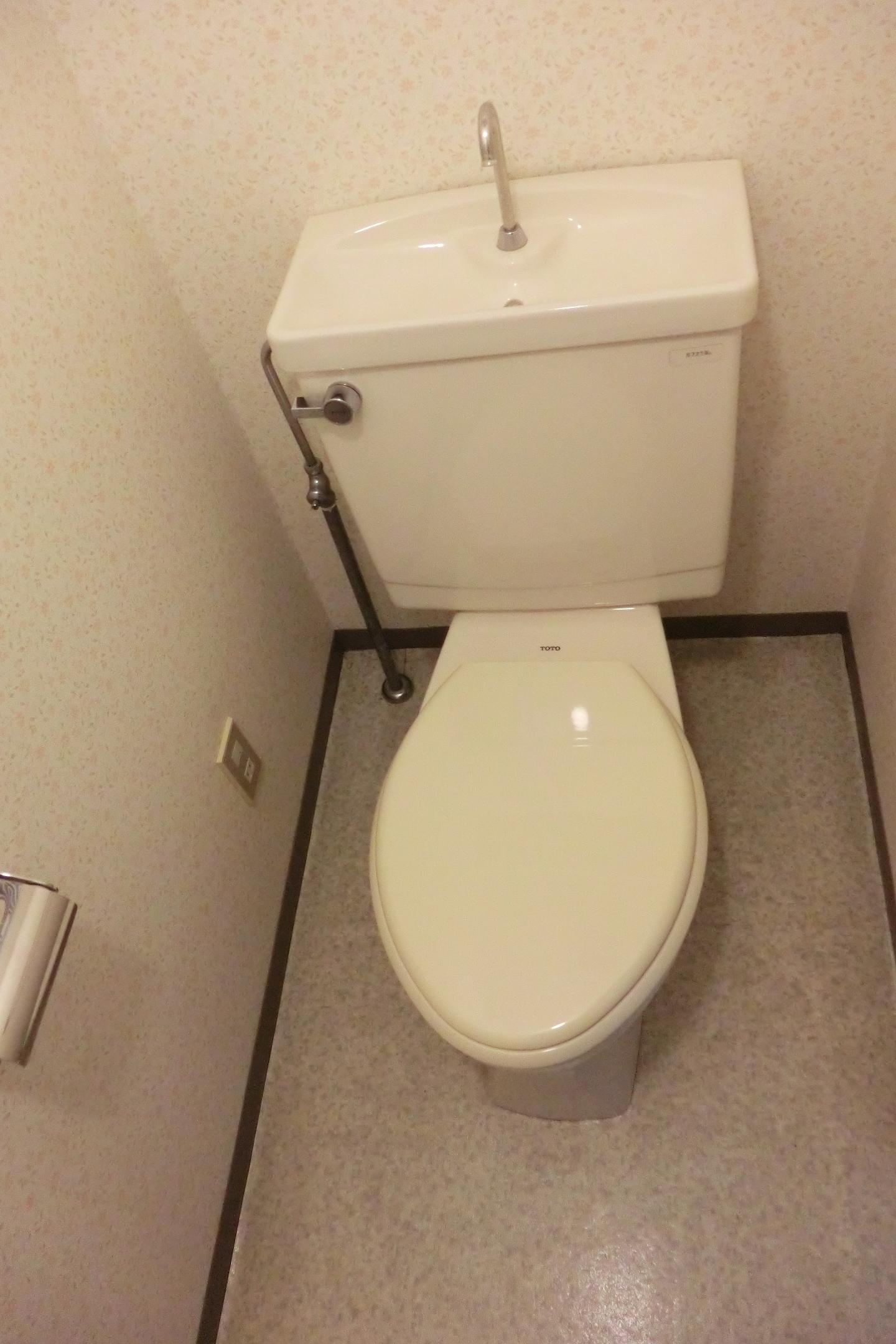 Toilet