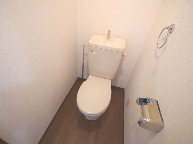 Toilet. This is useful for storage because there is a shelf at the top! 