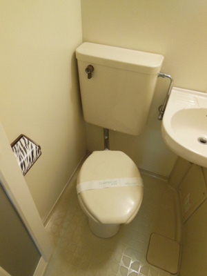 Toilet. ☆ Loose your toilet ☆