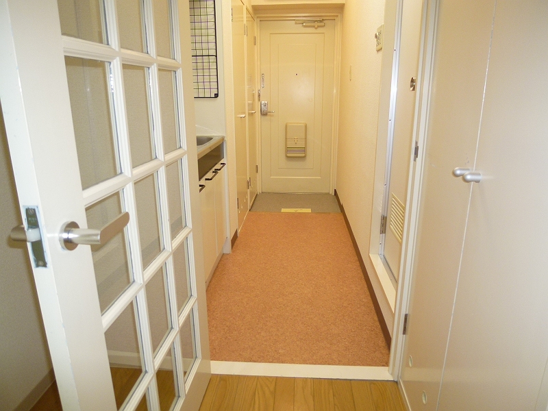 Kitchen. A living room and the partition door kitchen